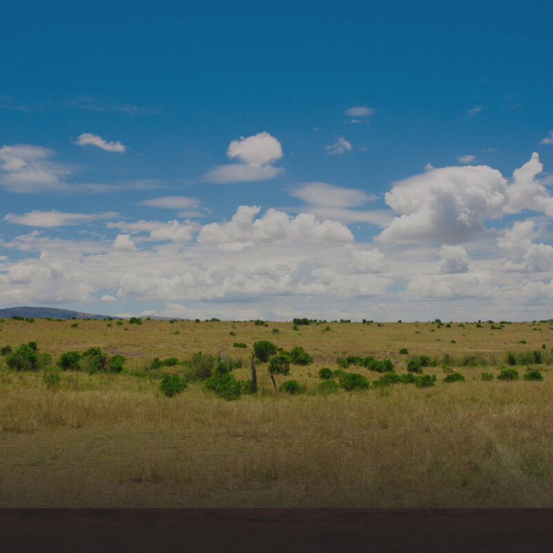 Anthrax in Kenya