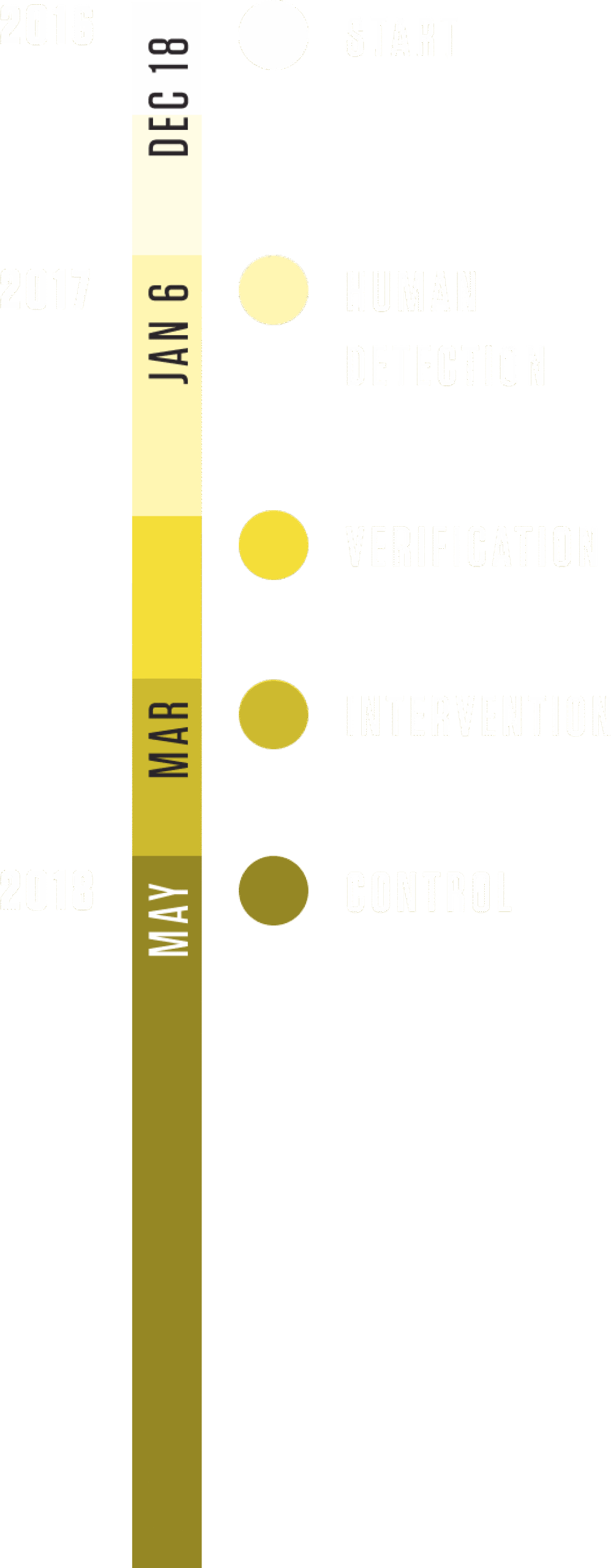 Brazil timeline