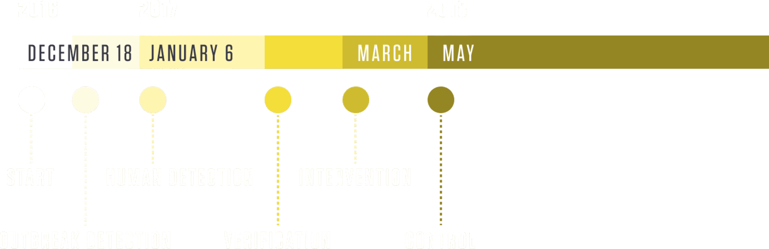 Brazil timeline