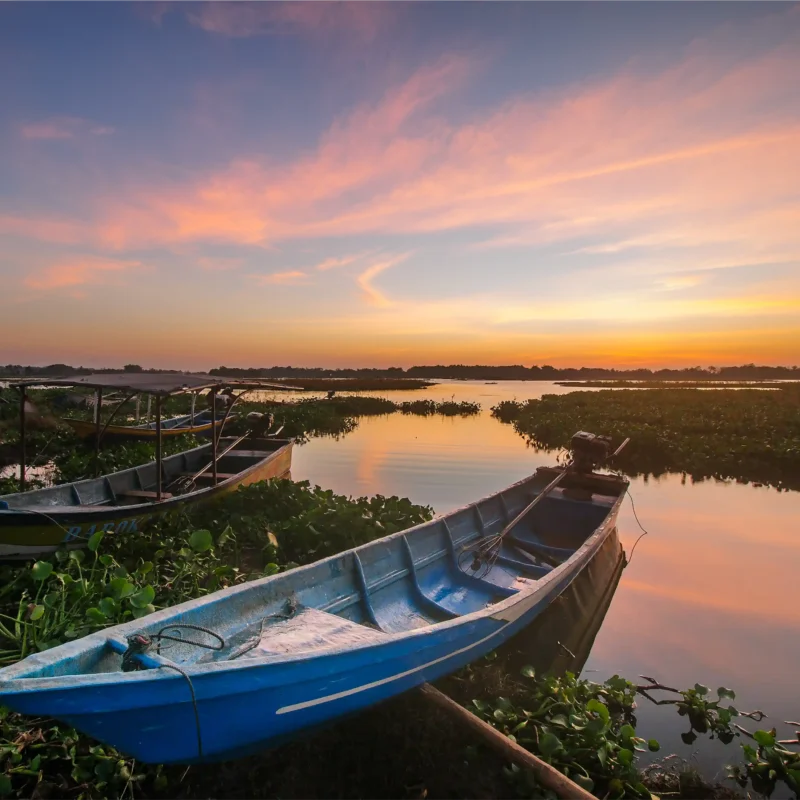 Dengue in Indonesia