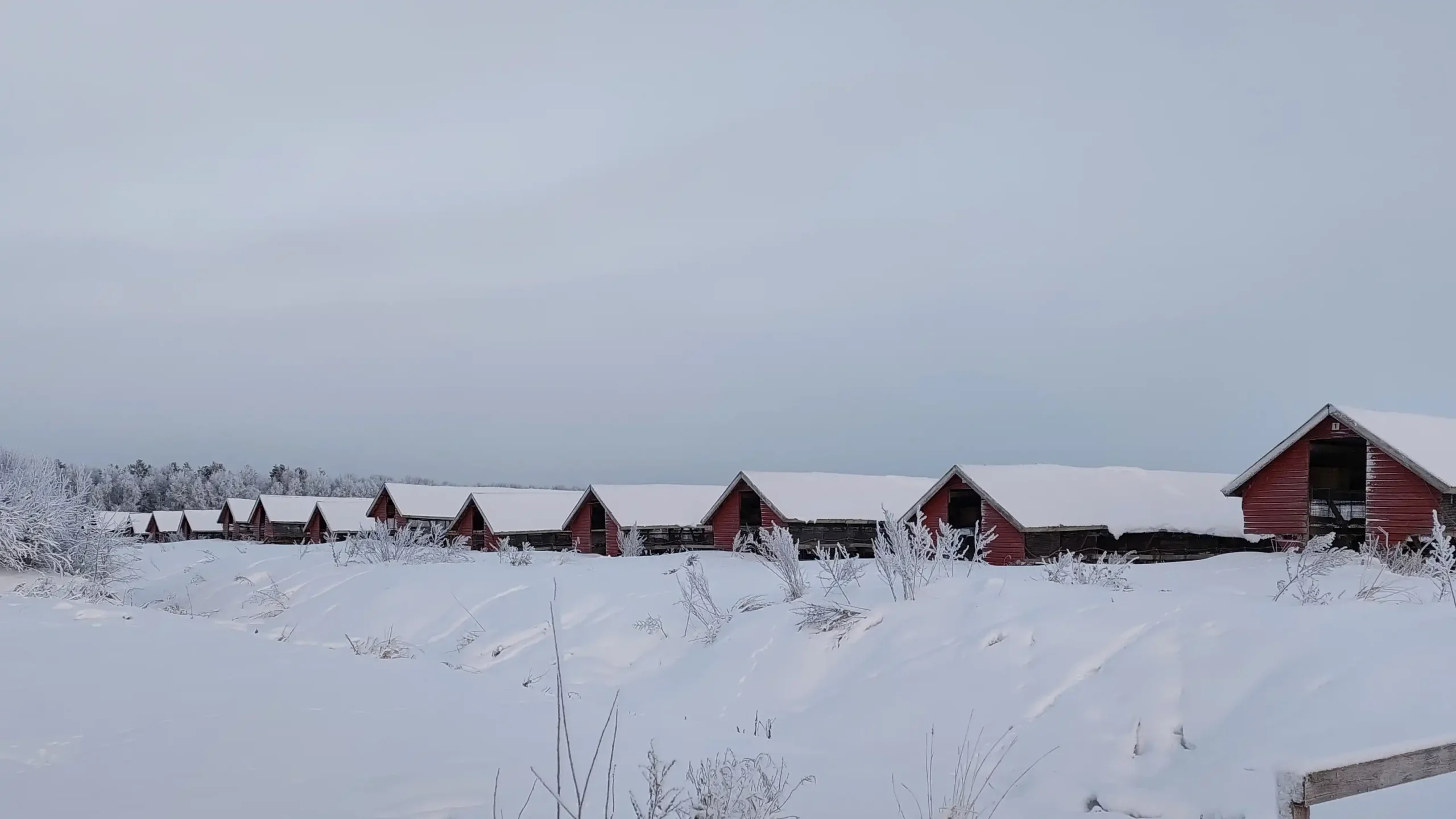 Fur farm sheds covered in snow