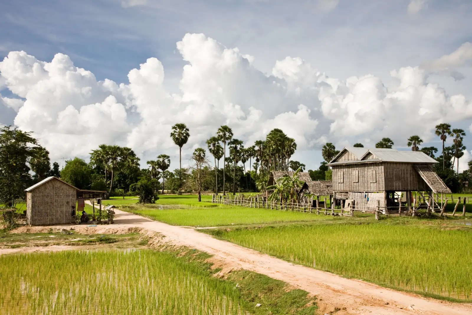 A Cambodian village in the sunshine, huts and a dusty path through the middle